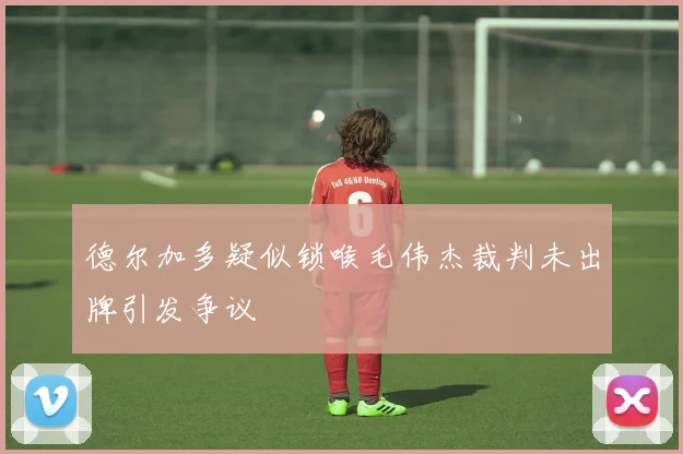 德尔加多疑似锁喉毛伟杰裁判未出牌引发争议