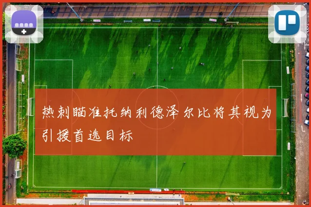 热刺瞄准托纳利德泽尔比将其视为引援首选目标